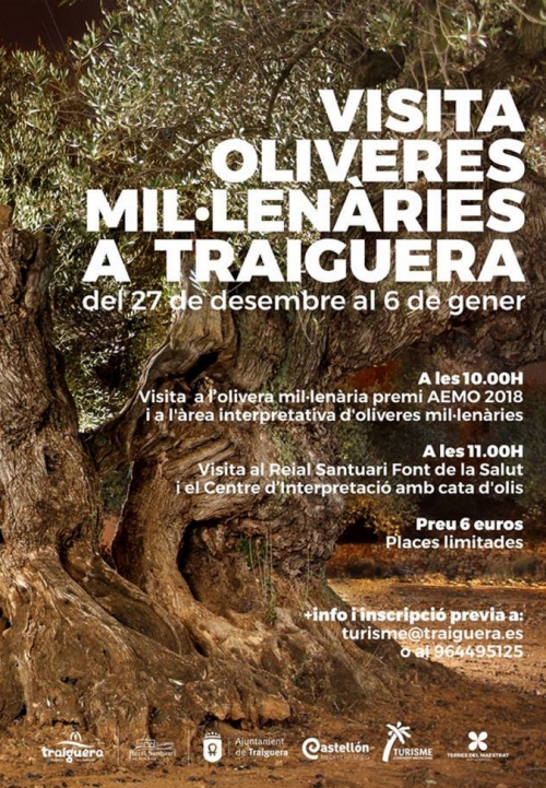 Visita oliveres millenries a Traiguera