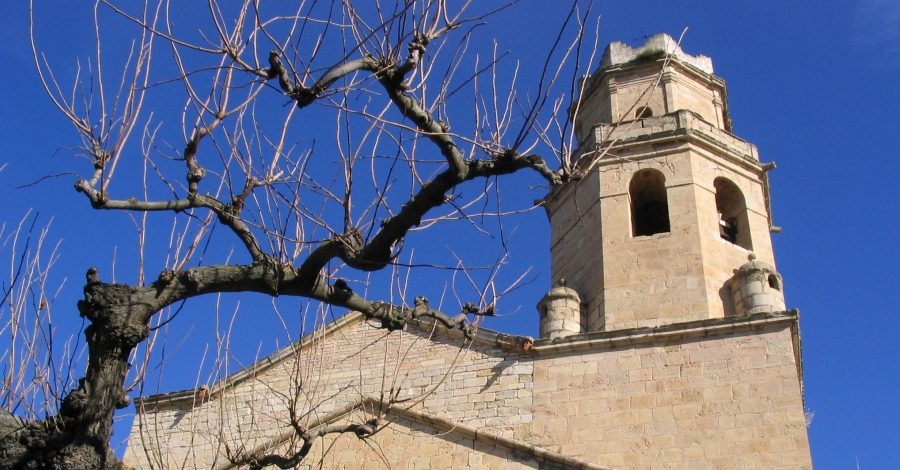 A Tivissa fem histria! Visita dinamizada al casco antiguo