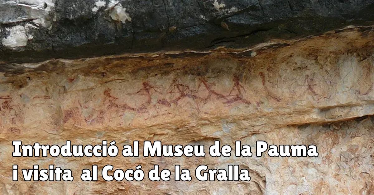 Introducci al Museu de la Pauma + visita guiada a les pintures