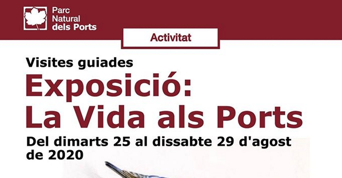 Visites guiades a lexposici La vida als Ports