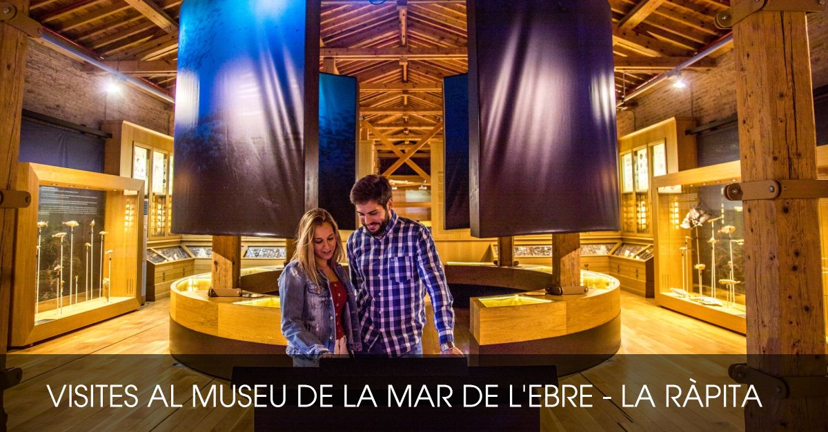 Visitas al Museu de la Mar de l’Ebre