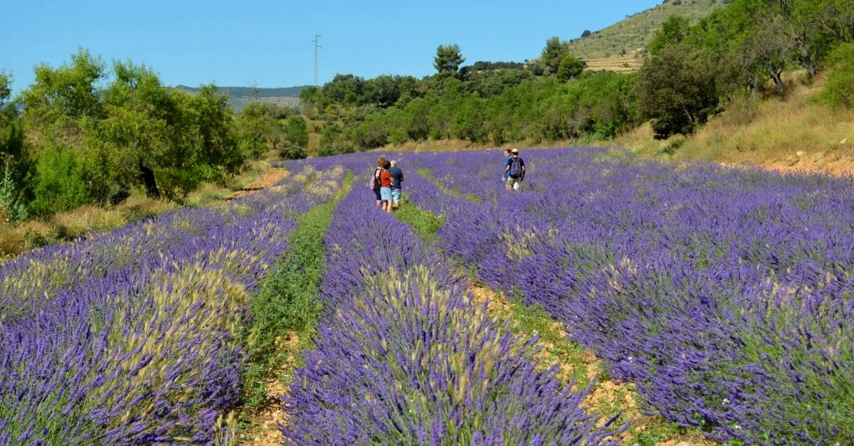 VIU ELS PORTS. Cultura, turisme i educaci | EbreActiu.cat, revista digital d’oci actiu | Terres de l’Ebre ...