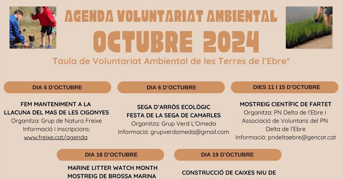 Voluntariat ambiental octubre 2024