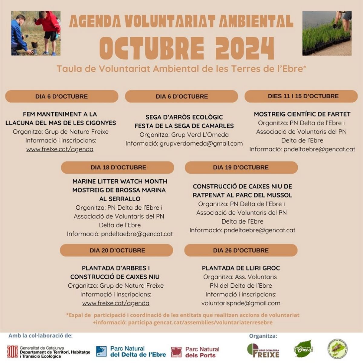 Voluntariat ambiental octubre 2024