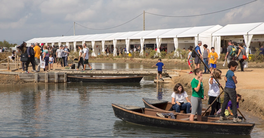 Vols ser voluntari del DeltaBirding Festival 2018? | EbreActiu.cat, revista digital d’oci actiu | Terres de l’Ebre ...