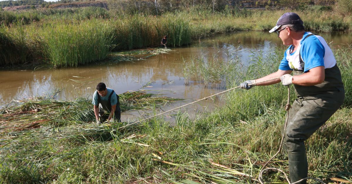 Netegen una de les llacunes de la reserva natural de Sebes de Flix per propiciar la biodiversitat de la zona | EbreActiu.cat, revista digital d’oci actiu | Terres de l’Ebre ...