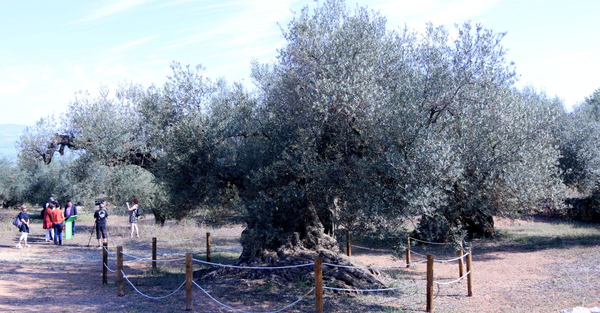 Una xarxa de camins naturals de ms de 100 quilmetres unir els territoris del Snia | EbreActiu.cat, revista digital d’oci actiu | Terres de l’Ebre ...