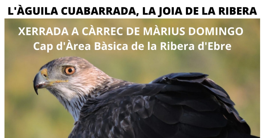 Xerrada: Lguila cuabarrada, la joia de la Ribera dEbre