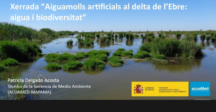 errada "Aiguamolls artificials al delta de lEbre: aigua i biodiversitat"