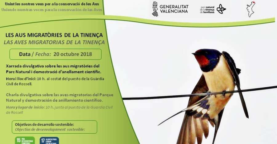 Charla: Las aves migratorias de la Tinena