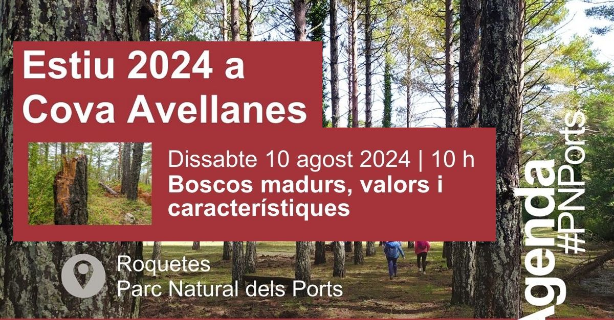 Charla: Bosques maduros, valores y caractersticas