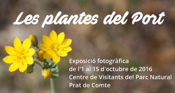 Xerrada i Exposici fotogrfica: Les Plantes dels Ports