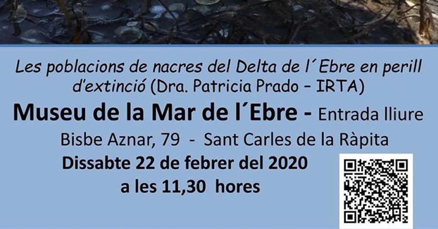 Charla: Las poblaciones de nacras del Delta del Ebro en peligro de extincin