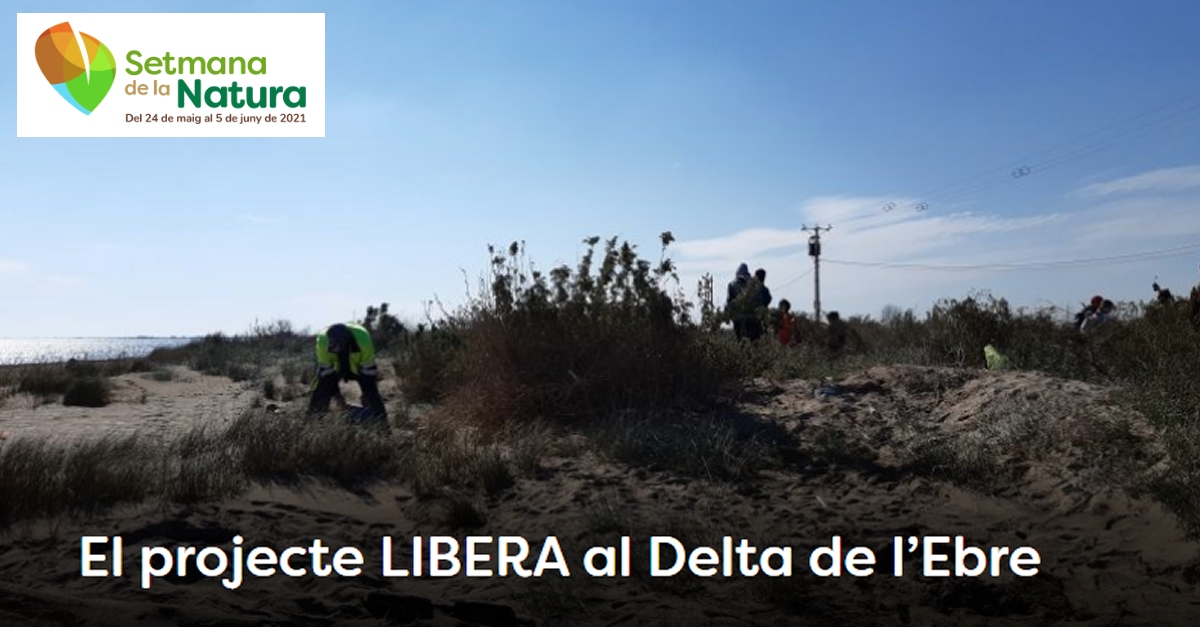 Charla: El proyecto Llibera en el Delta del Ebro - #SetmanaNatura2021