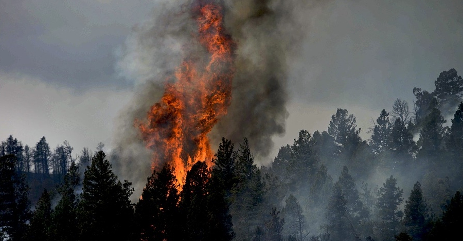 Si arriba el foc, ests preparat?