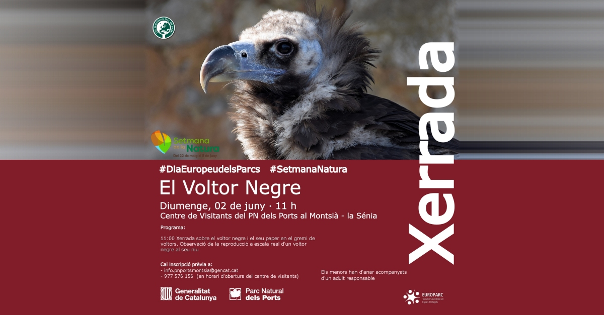 Xerrada: El voltor negre