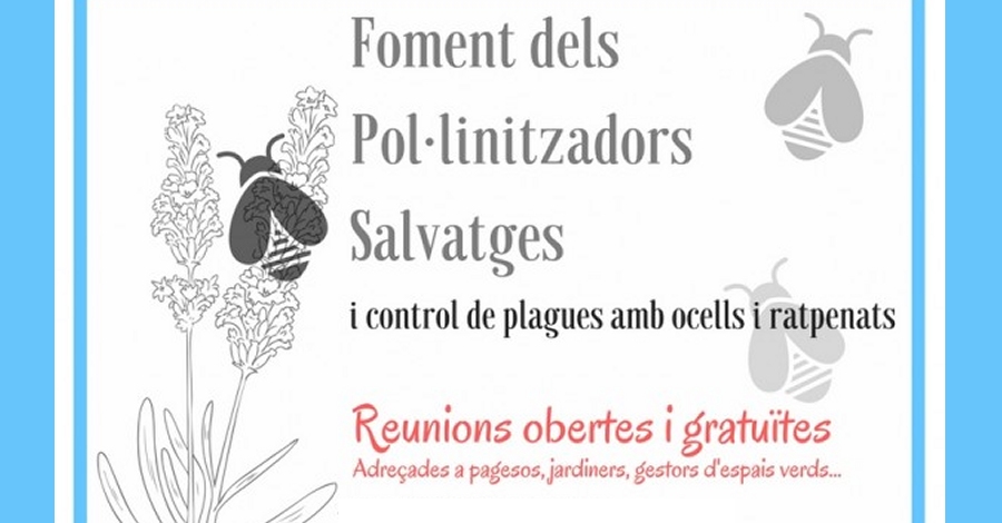 Salvem els insectes pollinitzadors