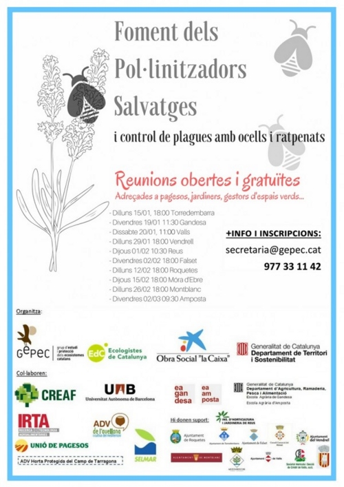 Salvem els insectes pollinitzadors