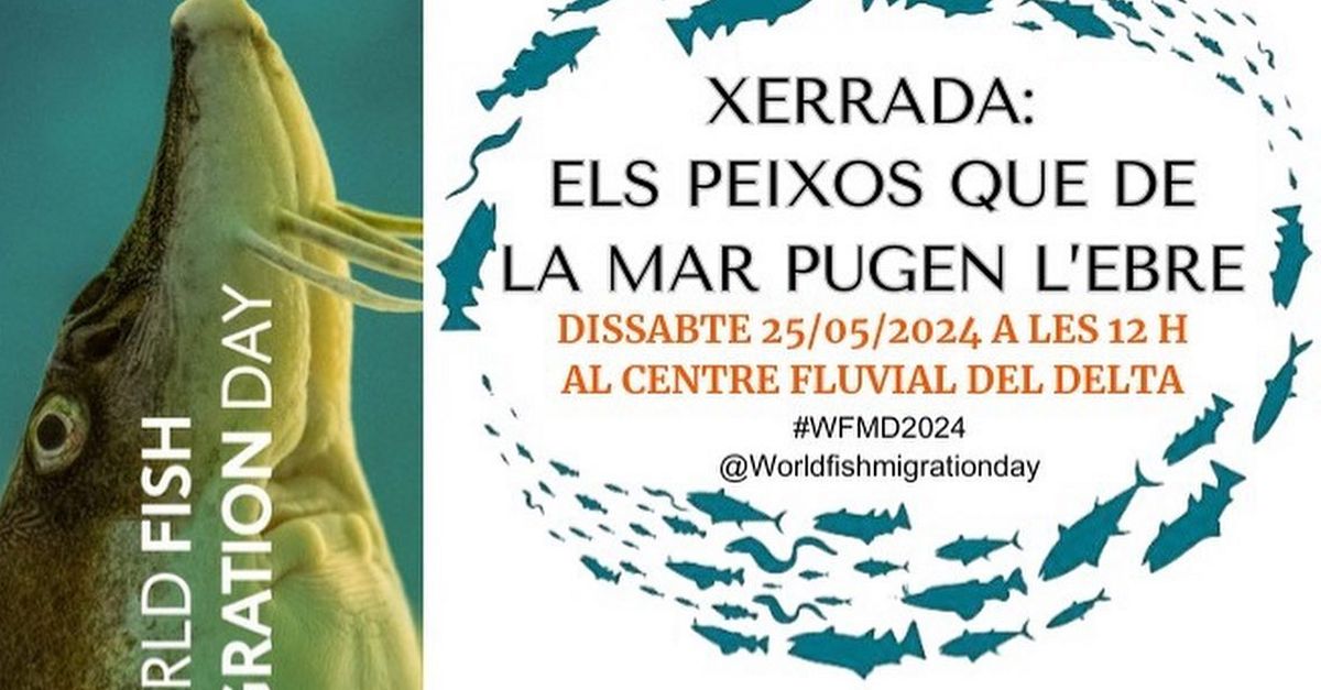 Charla Els peixos que de la mar pugen lEbre