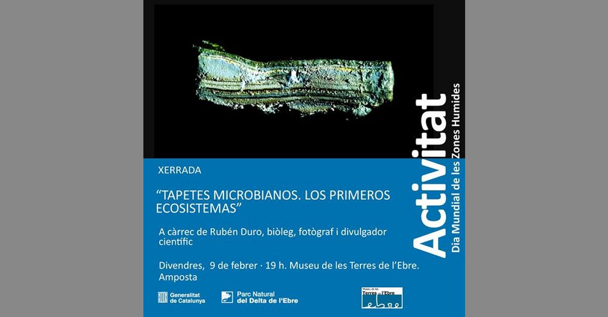 Xerrada Tapetes microbianos. Los primeros ecosistemas