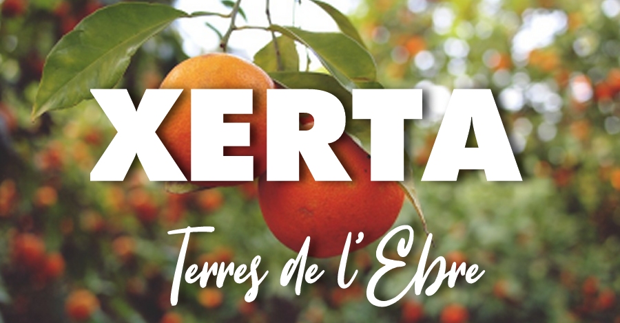 Xerta | EbreActiu.cat, revista digital de ocio activo | Terres de l’Ebre...