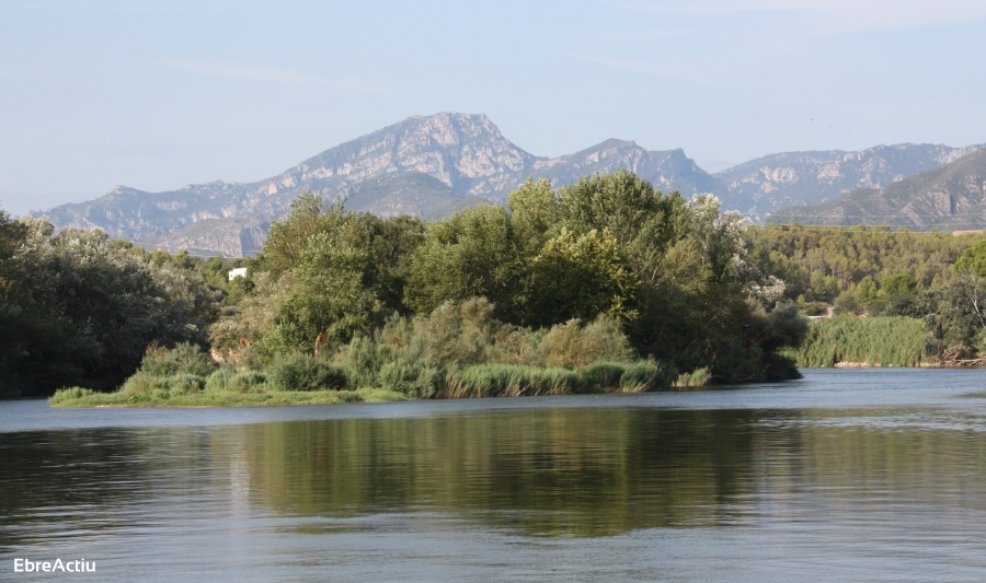 Xerta | EbreActiu.cat, revista digital de ocio activo | Terres de l’Ebre...