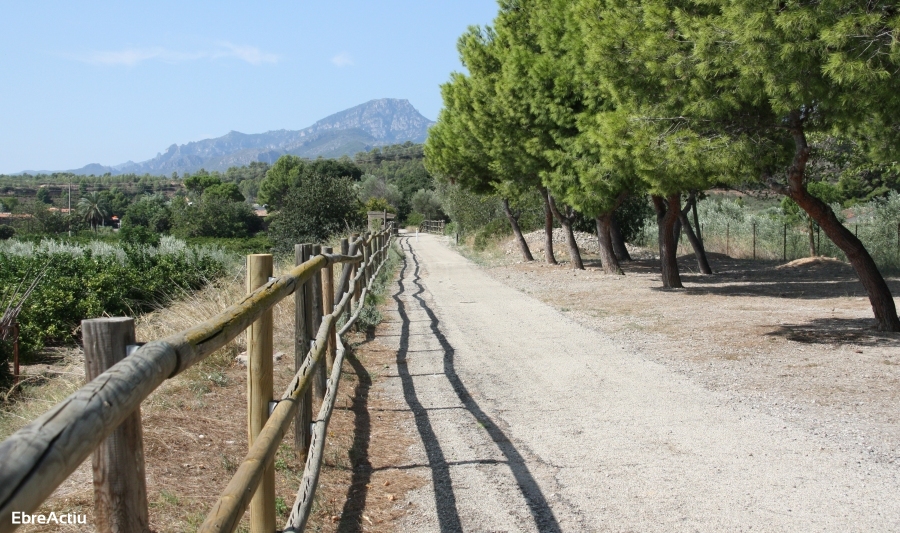 Xerta | EbreActiu.cat, revista digital de ocio activo | Terres de l’Ebre...